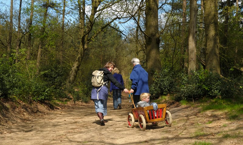 gezin in Holtingerveld