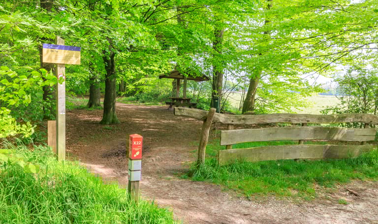 De Tip Geurt Besselink