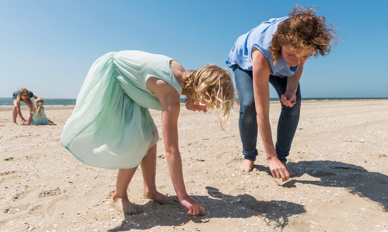 Schelpen zoeken op het strand van Schiermonnikoog