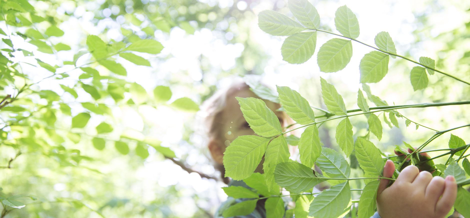 Kruiptunnel maken OERRR