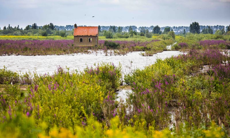 Natuureiland Tiengemeten