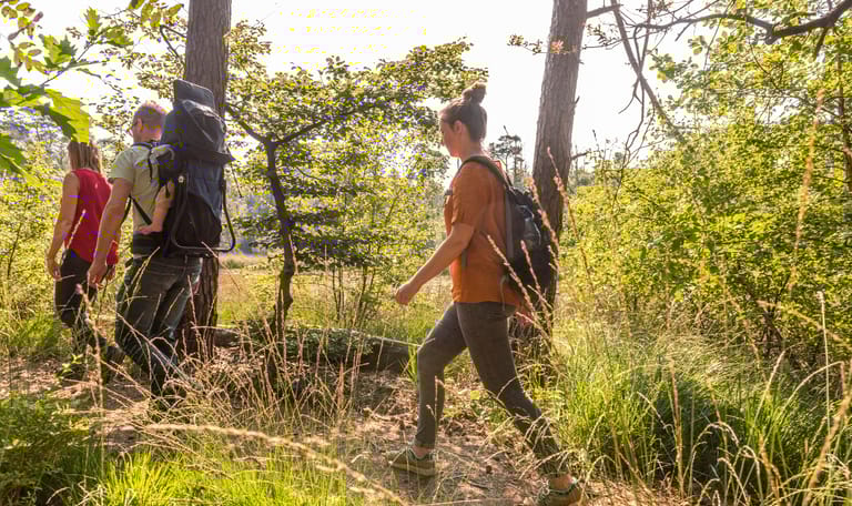 excursie Buisse Heide