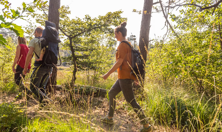 excursie Buisse Heide