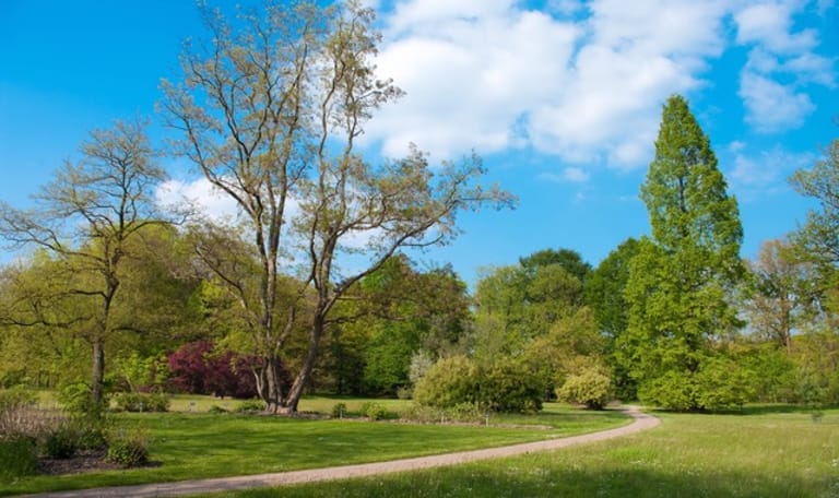 Bomen Arboretum Poort Bulten