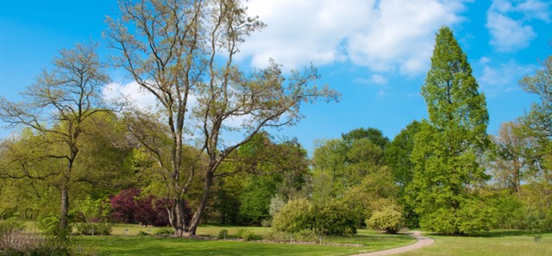 Bomen Arboretum Poort Bulten