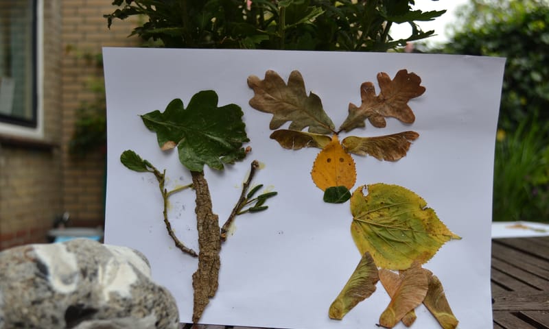 Knutselen met herfstbladeren