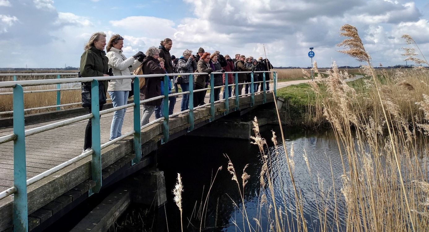 Groep mensen op brug de Onlanden
