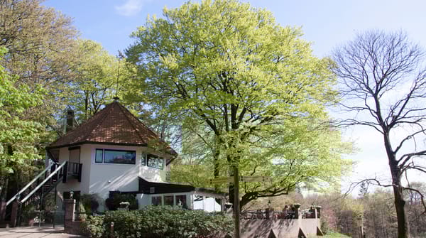 Chalet Helenaheuvel in Doorn