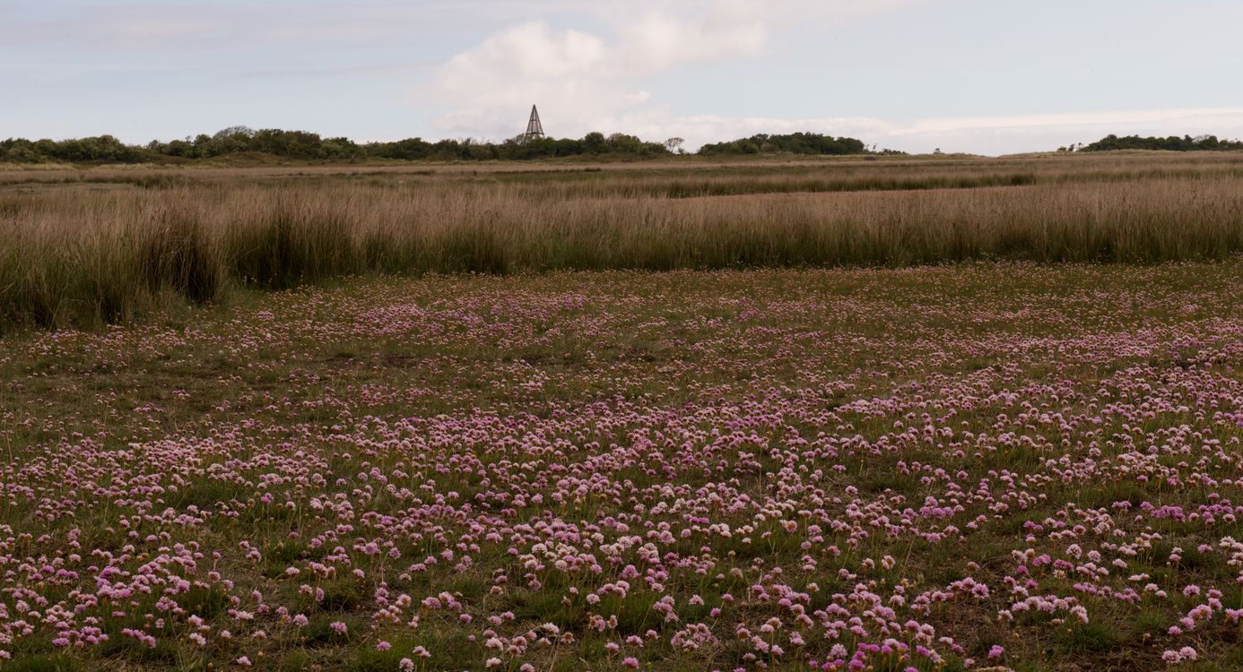 De Kobbeduinen