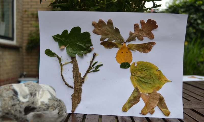 Knutselen met herfstbladeren