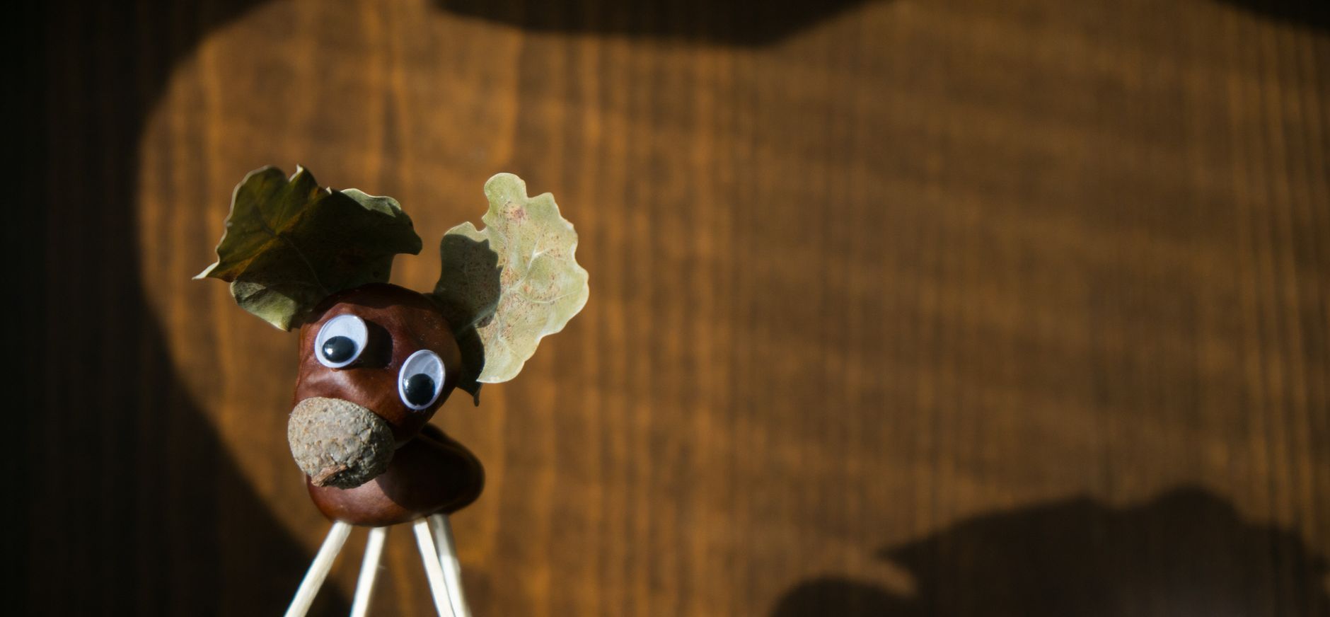 kastanje poppetjes maken