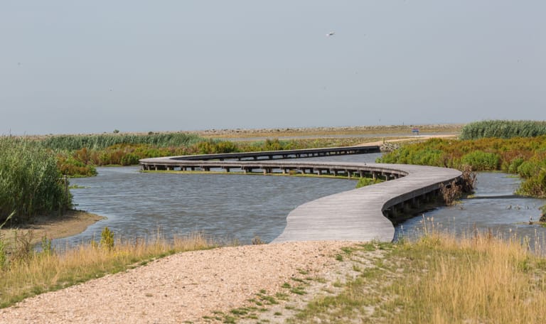 Vlonderpad Marker Wadden