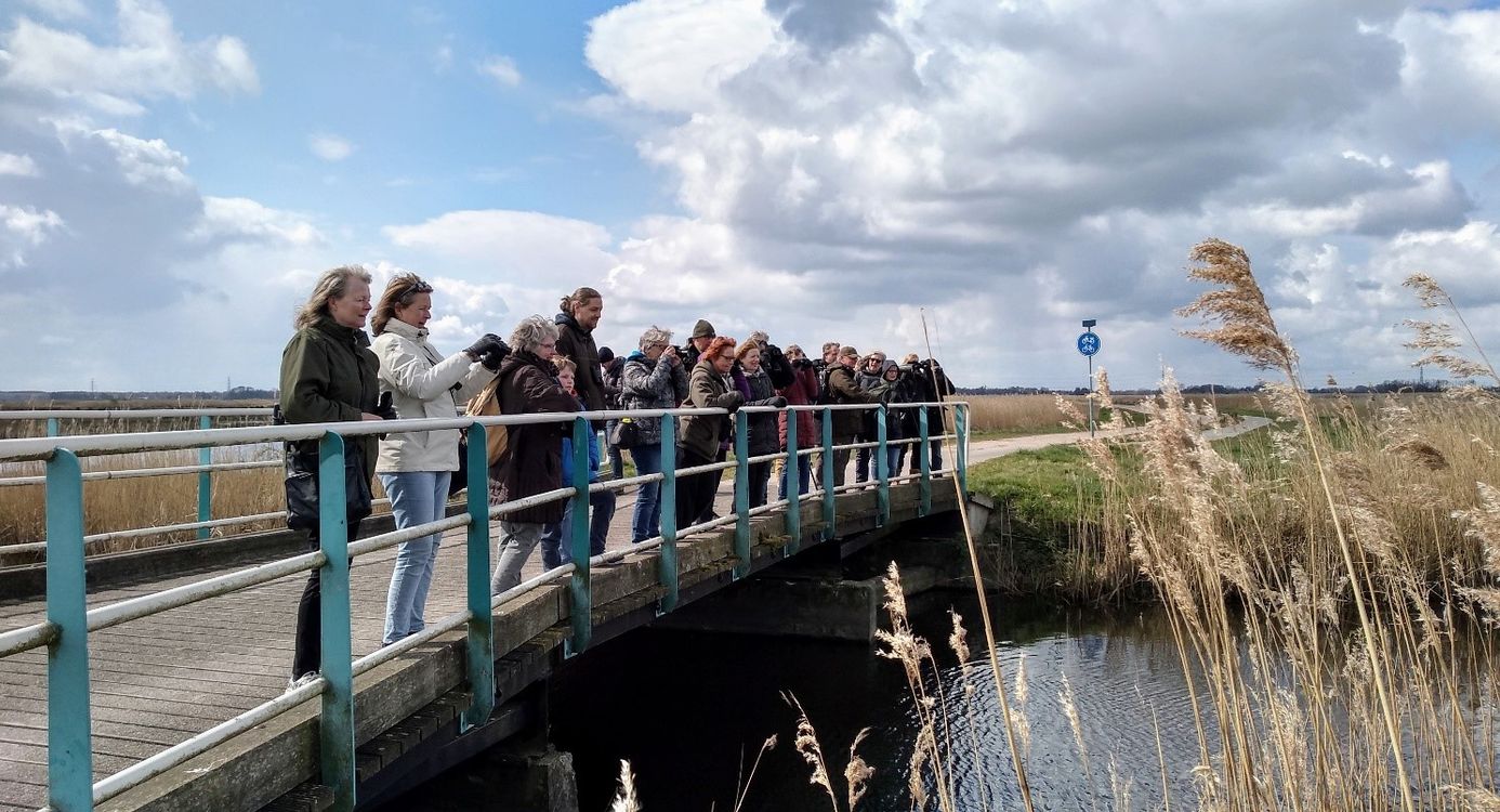 Groep mensen op brug de Onlanden