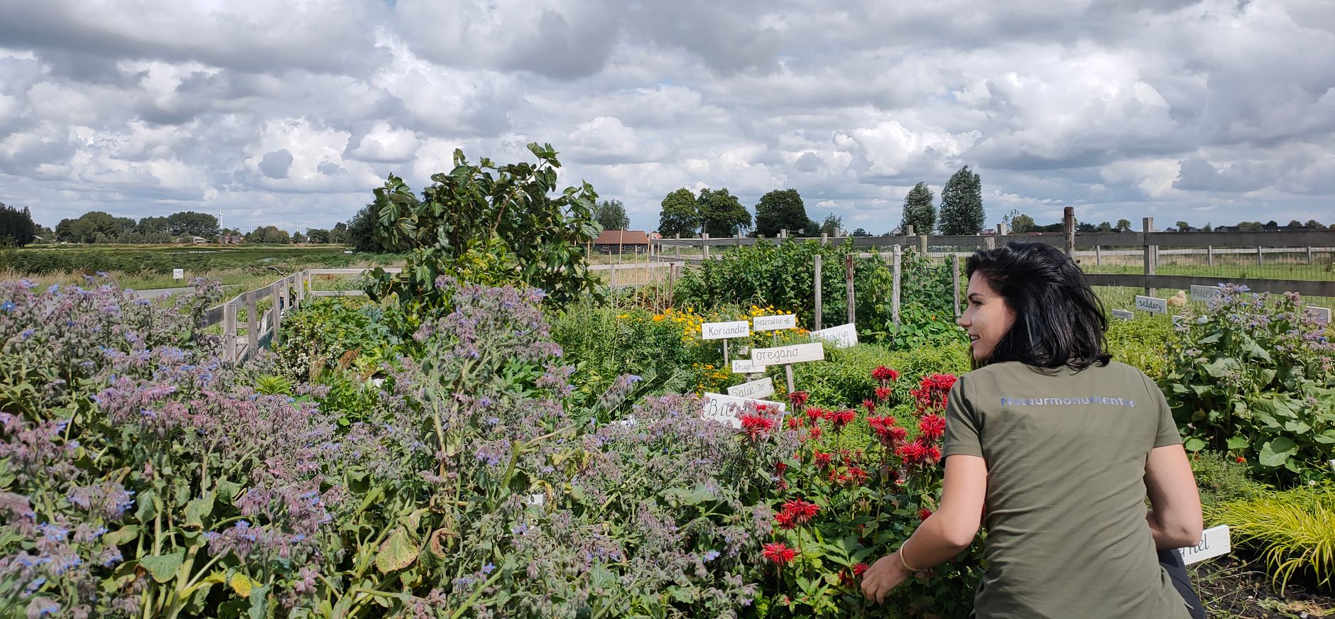 Kruidentuin Tuinderij Groenzoom
