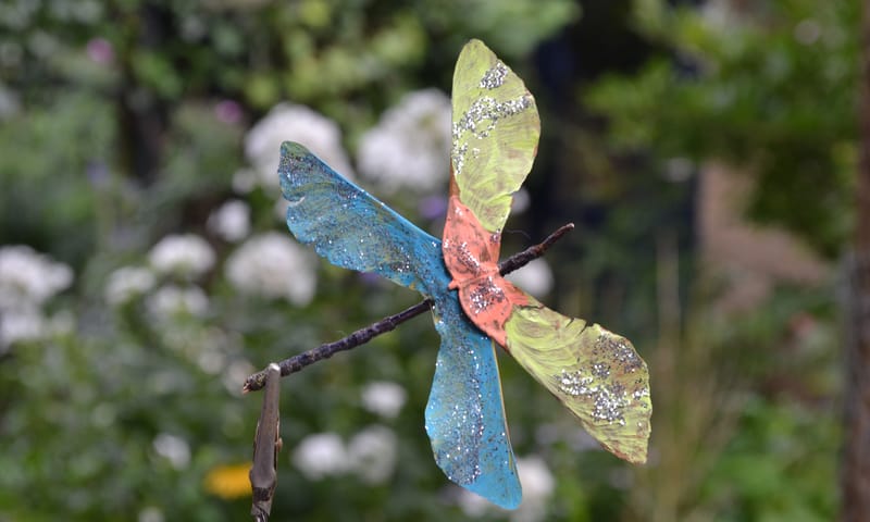 Maak een libel van esdoornzaad - OERRR