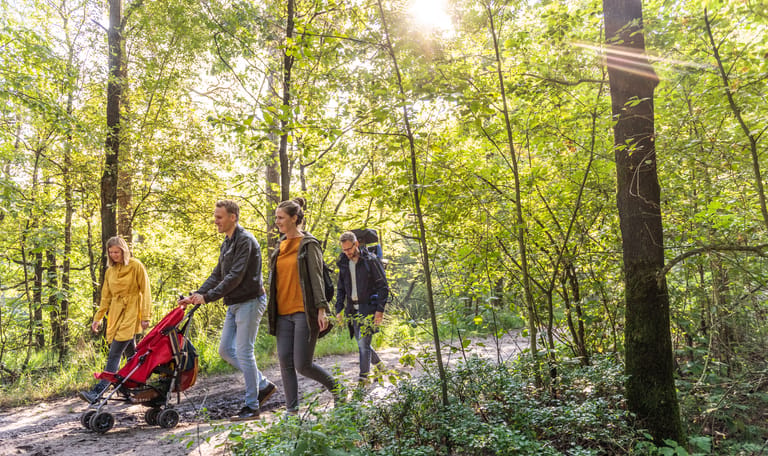 Buggyroute bos