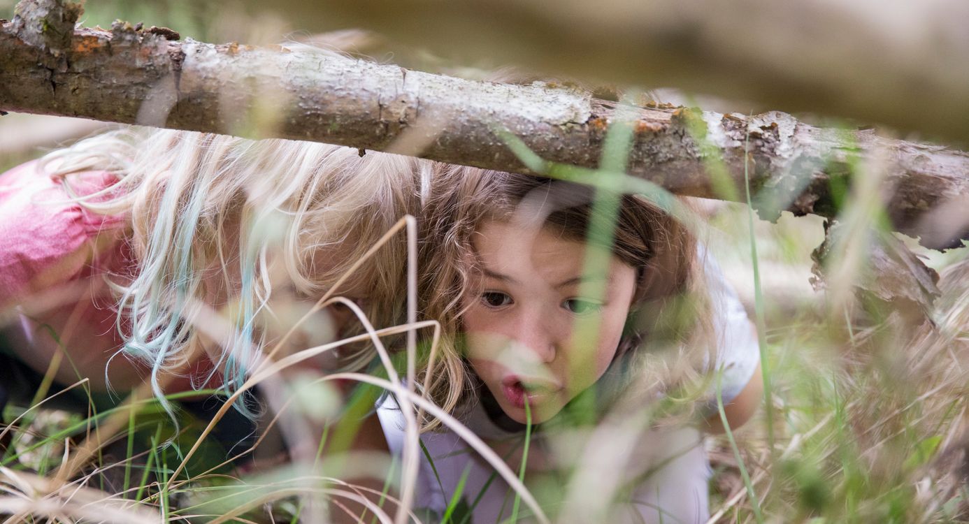 Kinderen in het bos - OERRR