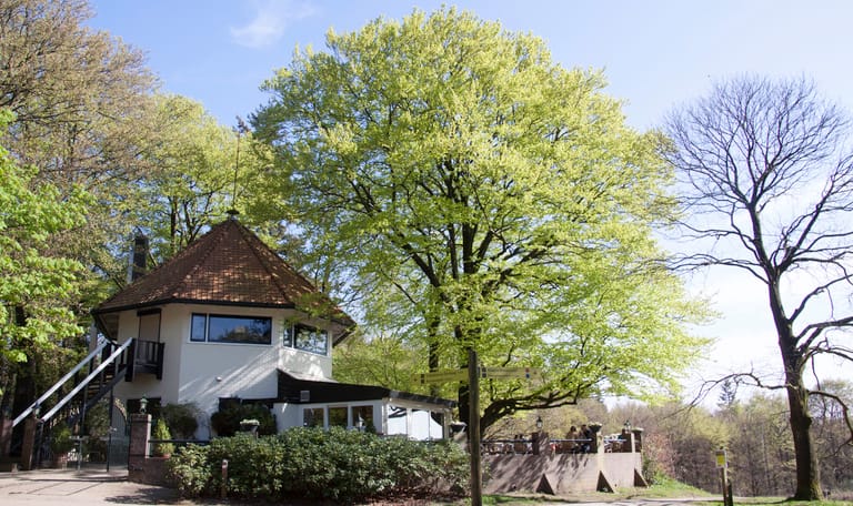 Chalet Helenaheuvel in Doorn