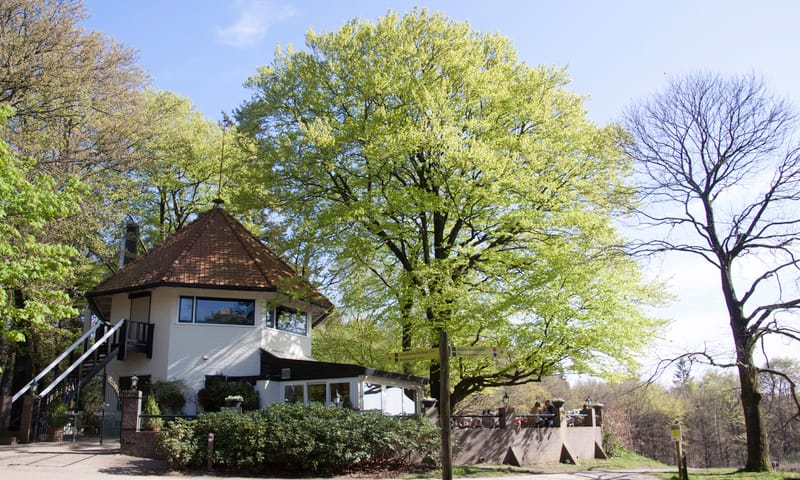Chalet Helenaheuvel in Doorn