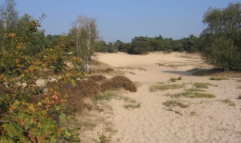 Herfst in de LDD