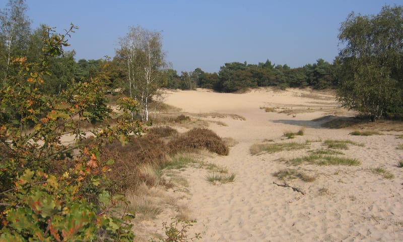 Herfst in de LDD