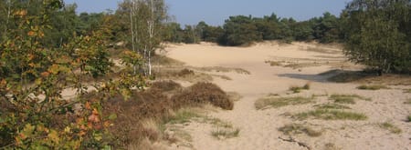 Herfst in de LDD