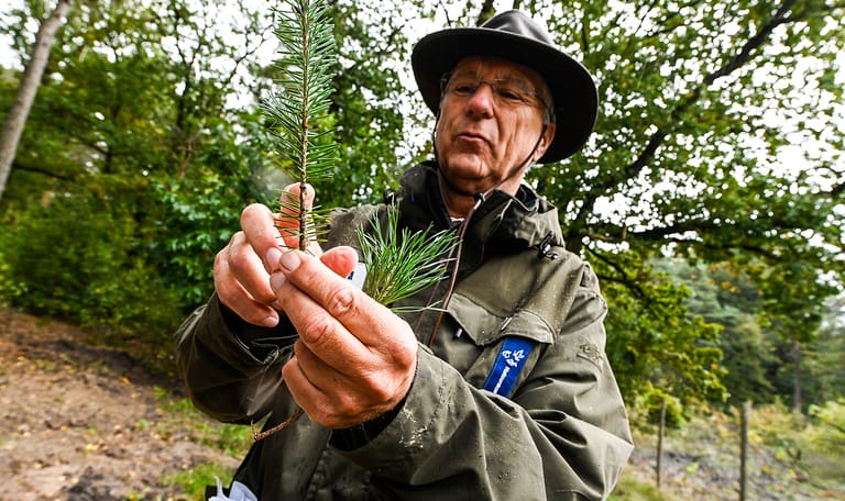 Vrijwillige gids Paul Campagne in de Kaapse Bossen