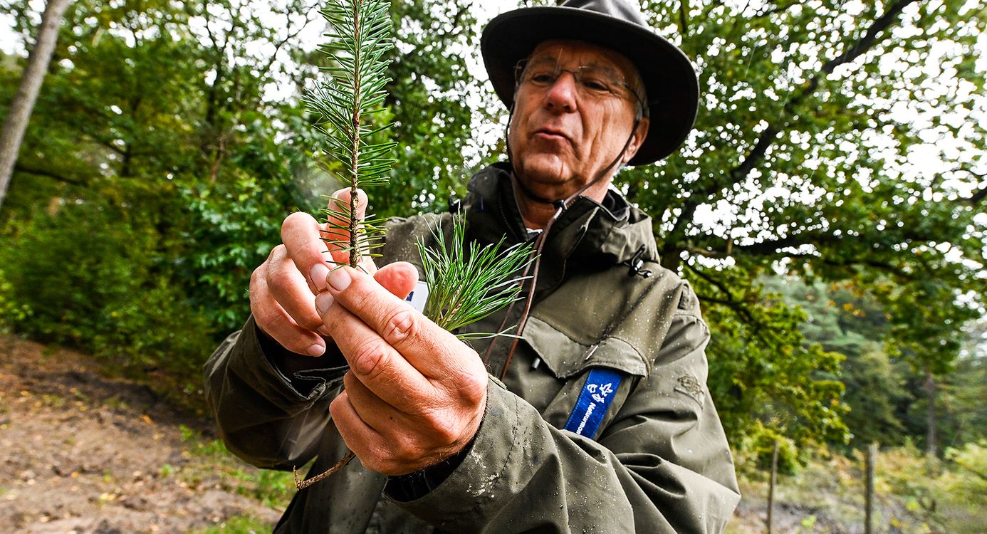 Vrijwillige gids Paul Campagne in de Kaapse Bossen