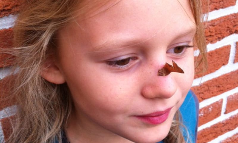 Esdoornzaad als neushoorn - OERRR