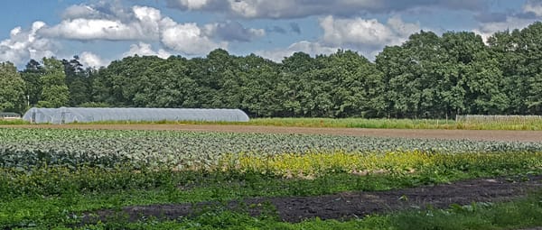 Herenboeren Groote Modderkolk