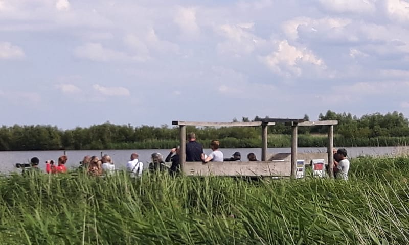 drukte op vogelkijkpunt polder IJdoorn