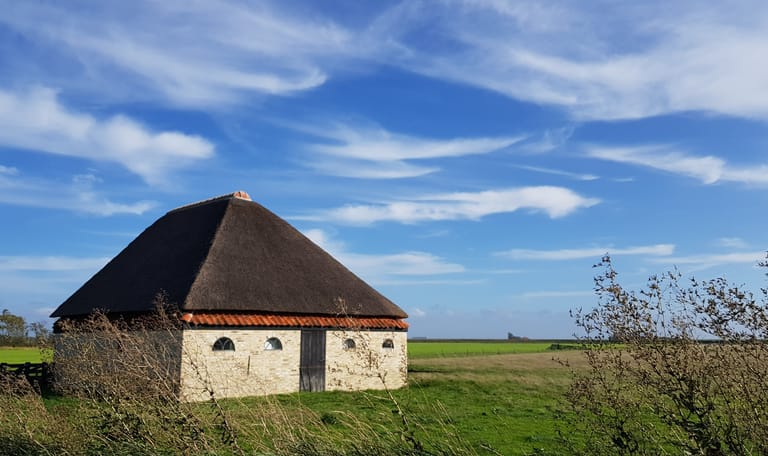 Schapenboet