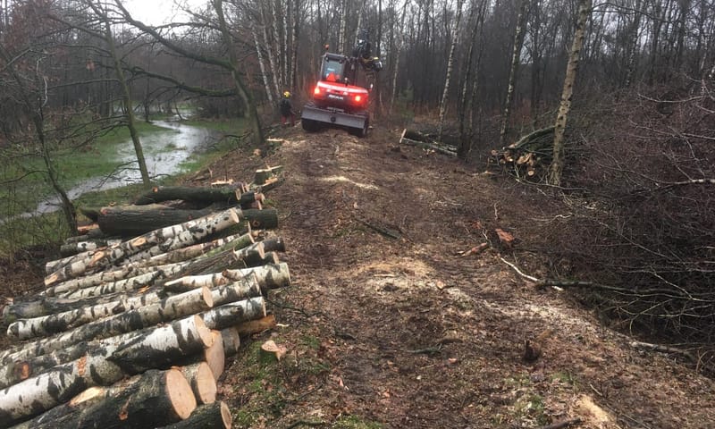 Bomenkap op de wal langs de Heiloop