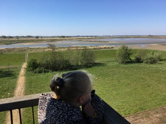 Overzicht uitkijktoren Beningerslikken