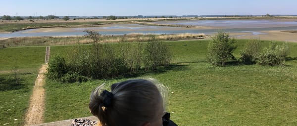 Overzicht uitkijktoren Beningerslikken
