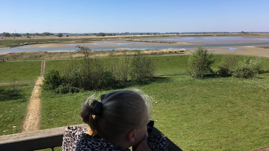 Overzicht uitkijktoren Beningerslikken