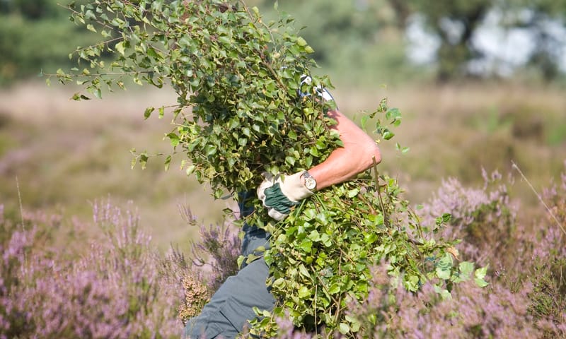 Handmatig opslag verwijderen