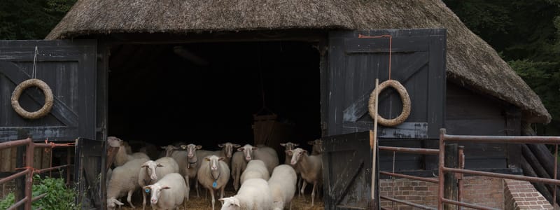 Schaapskooi Heuven op de Veluwezoom