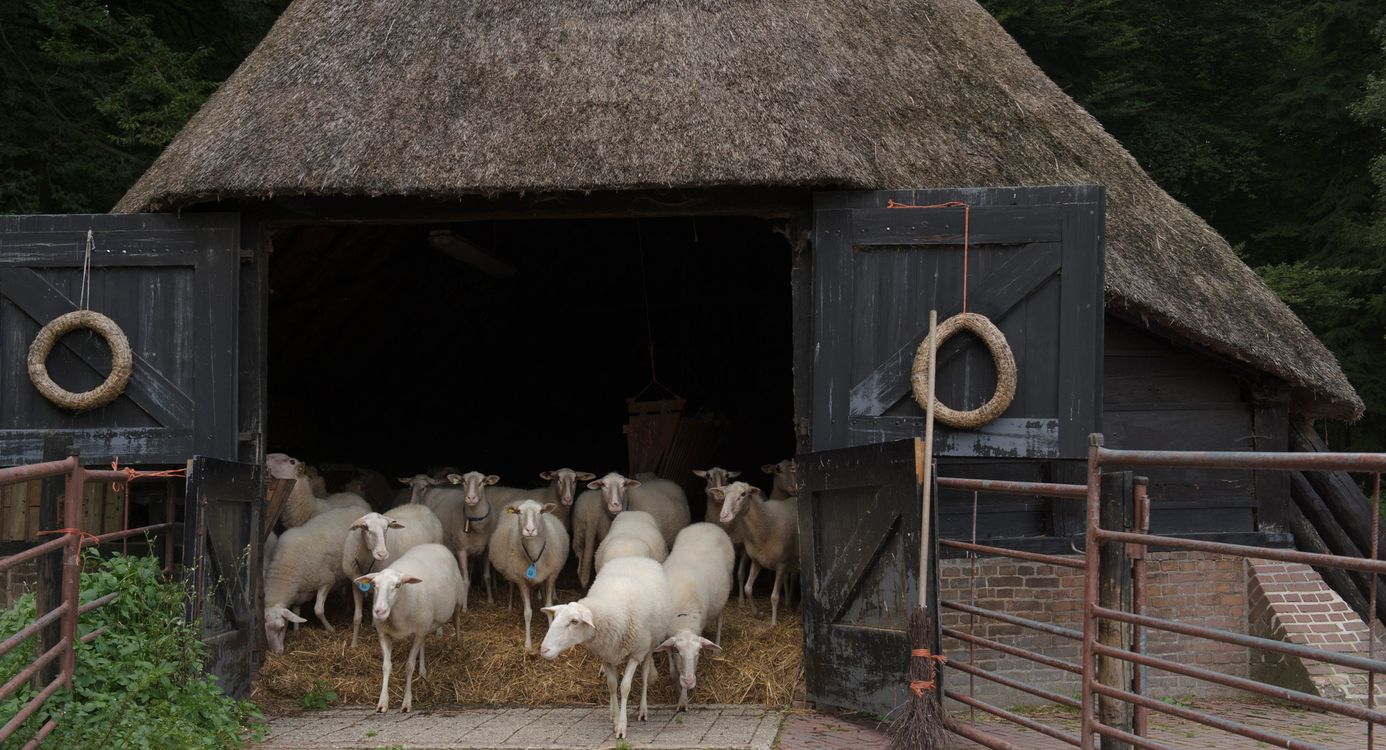 Schaapskooi Heuven op de Veluwezoom