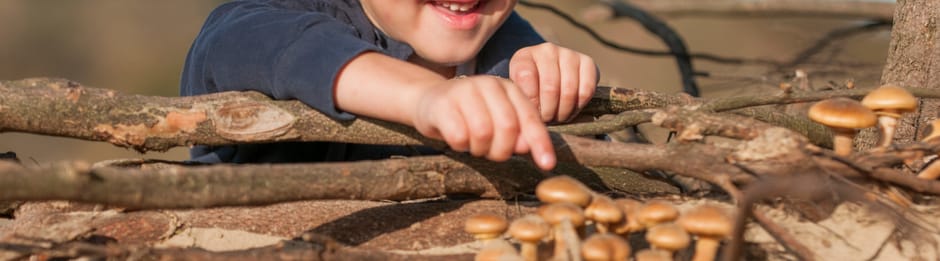 paddenstoelenroutes met kinderen