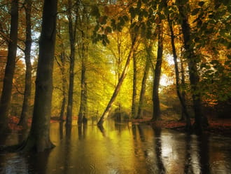 Leuvenumse beek
