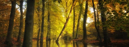 Leuvenumse beek