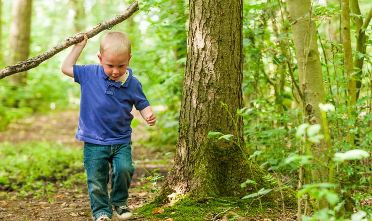 Kind in het bos