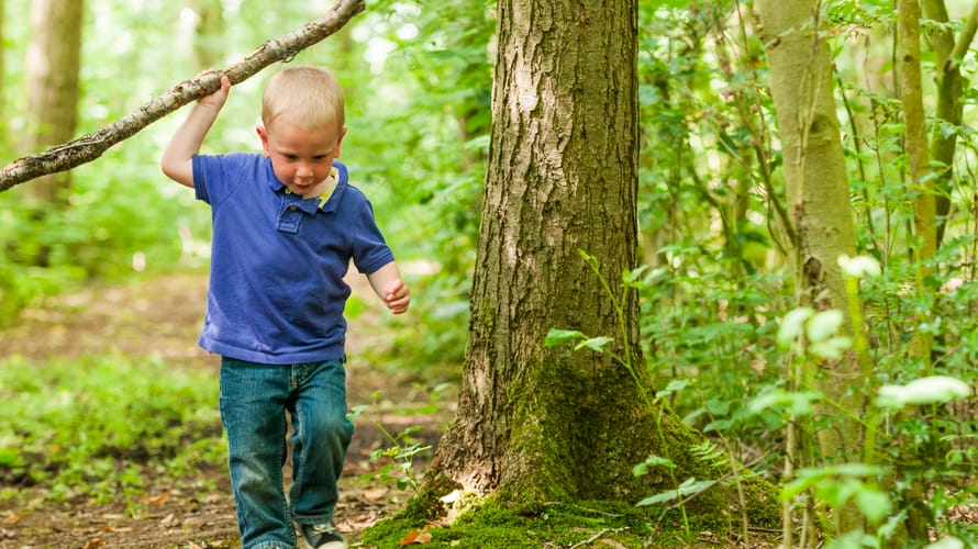 Kind in het bos