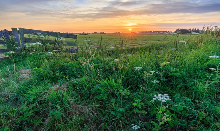 Polder Noord-Kethel bij Rotterdam