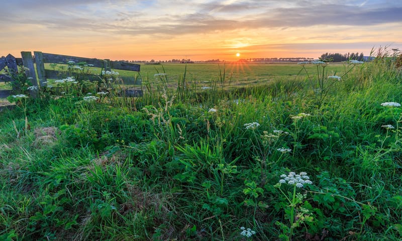 Polder Noord-Kethel bij Rotterdam