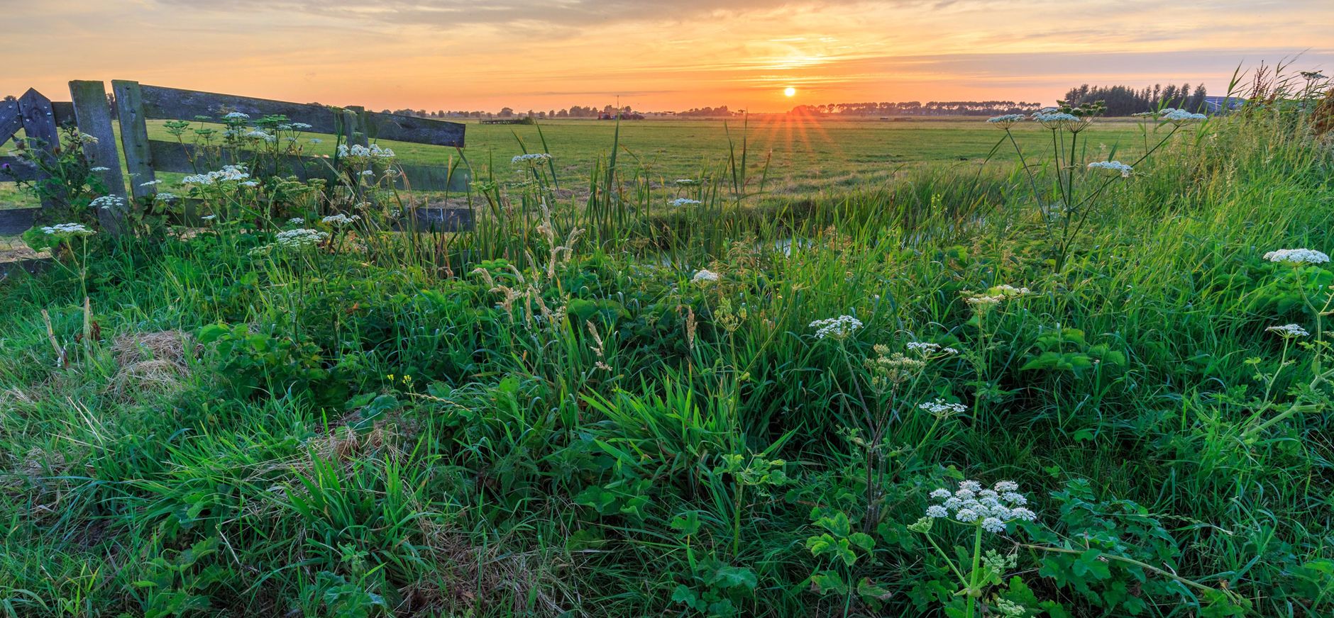 Polder Noord-Kethel bij Rotterdam