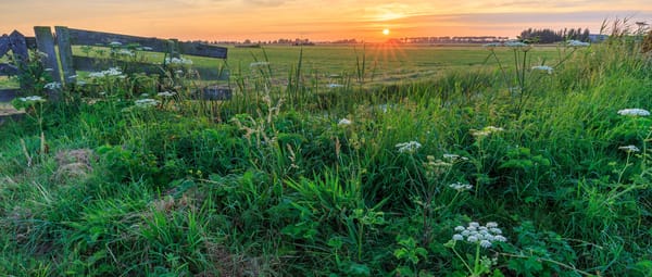 Polder Noord-Kethel bij Rotterdam