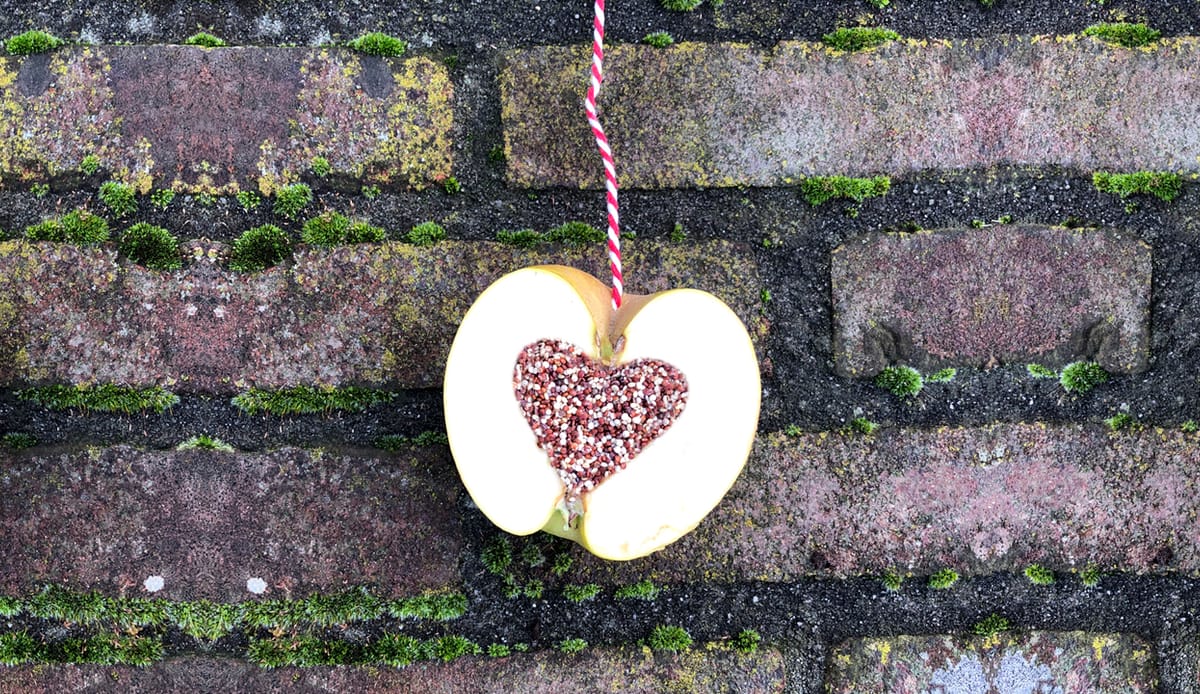 Appelsnack