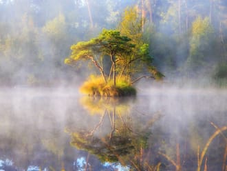 herfst in de Oisterwijkse bossen